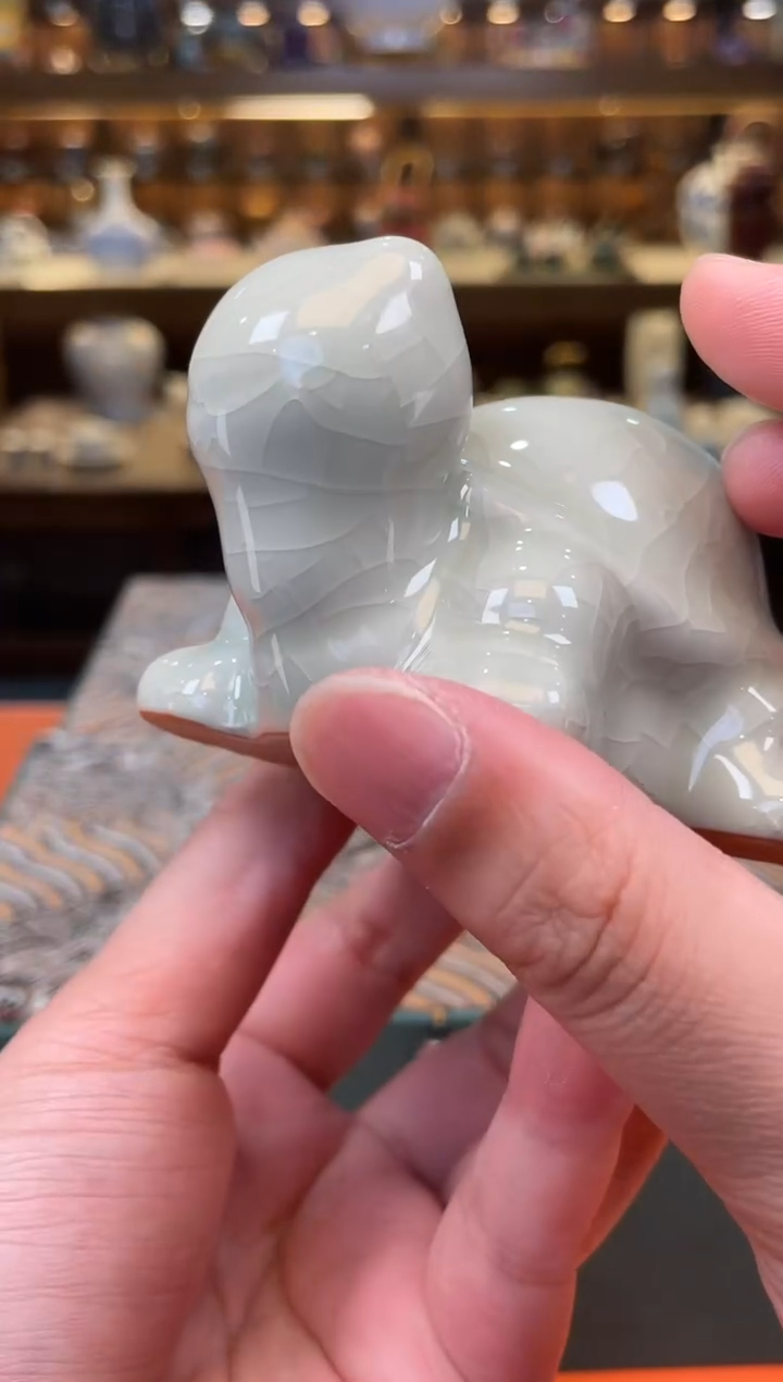 【闪购商品】乌龟茶宠              