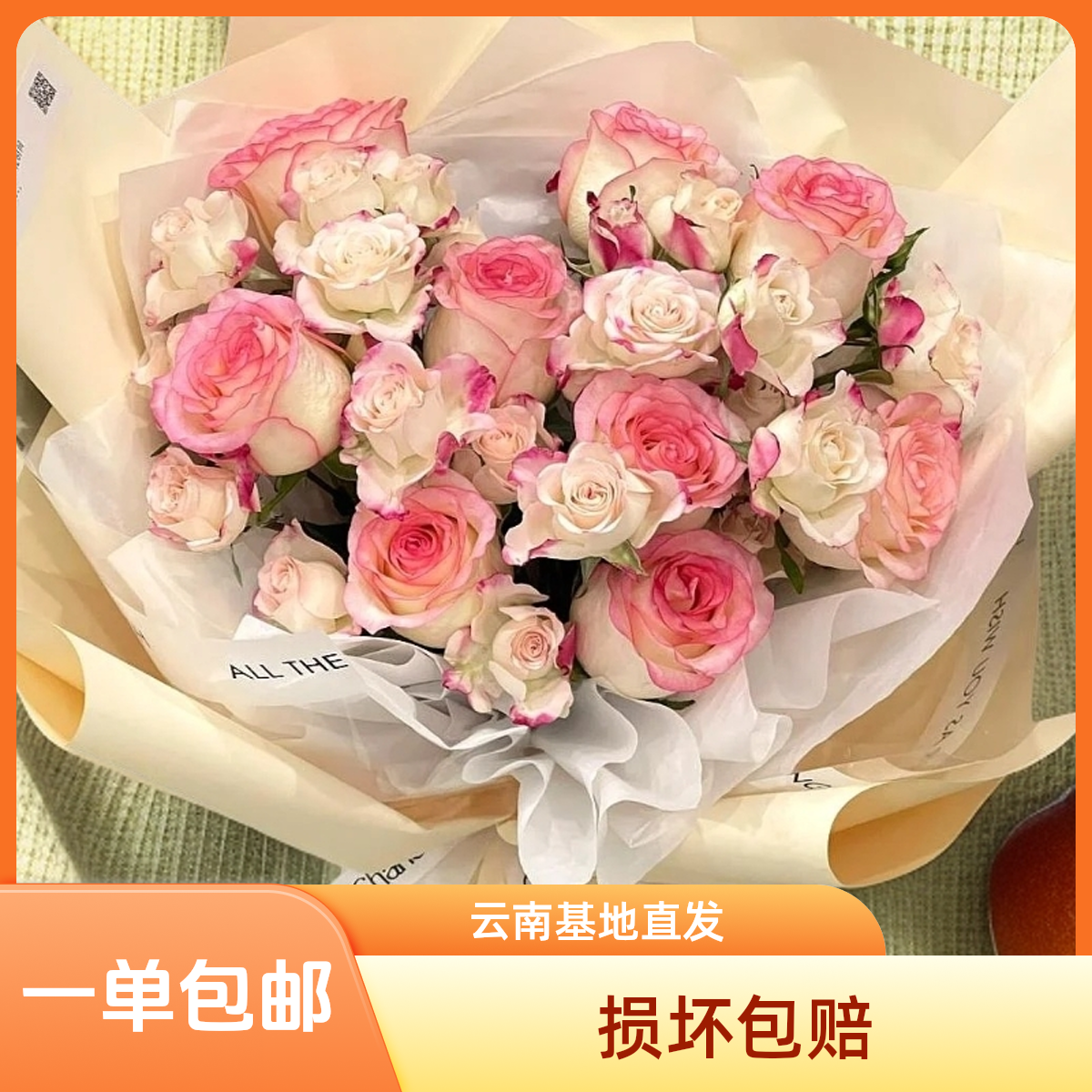 【折射+艾莎】新鲜鲜花云南鲜花基地直发适合客厅装饰