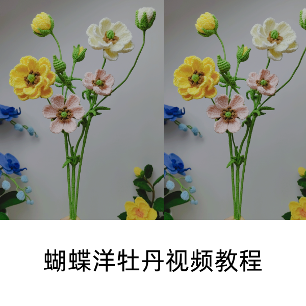 蝴蝶洋牡丹视频教程