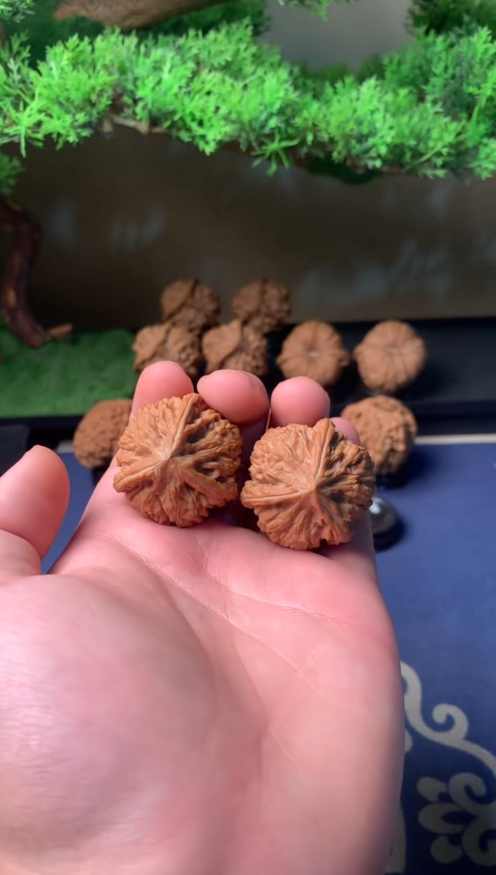 【闪购商品】文玩核桃把件37御龙奔