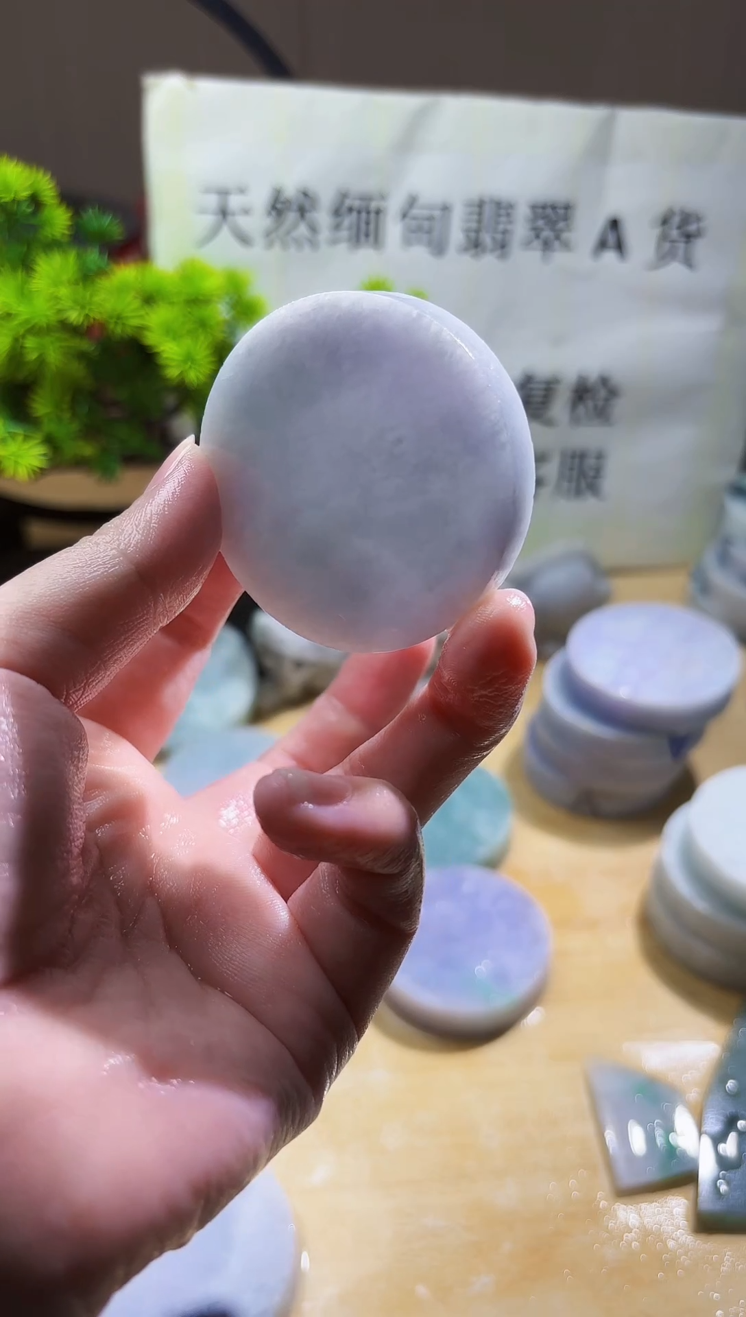翡翠未镶嵌颈饰603