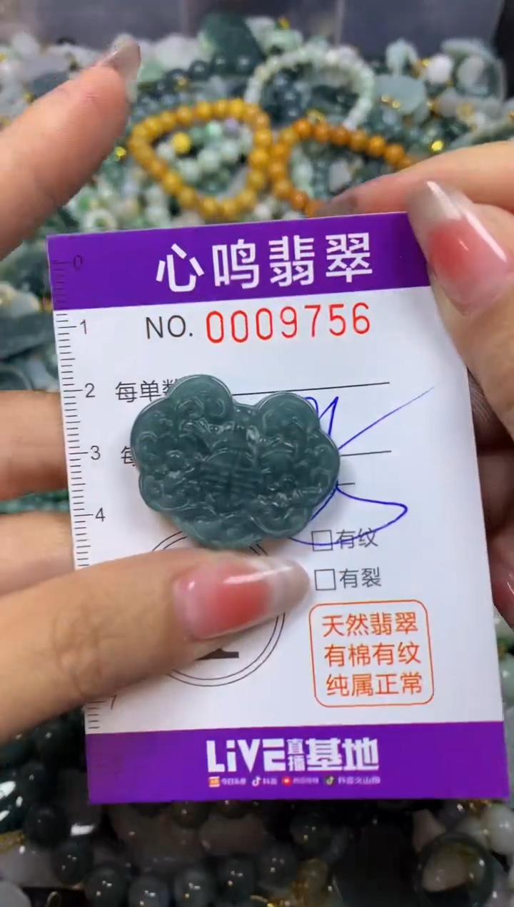 【闪购商品】翡翠颈饰未镶嵌闪购009756