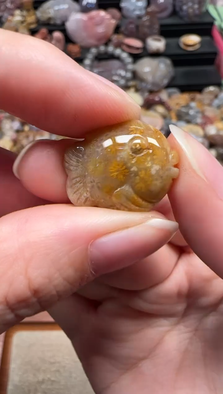 颈饰未镶嵌硅化珊瑚（珊瑚玉）827