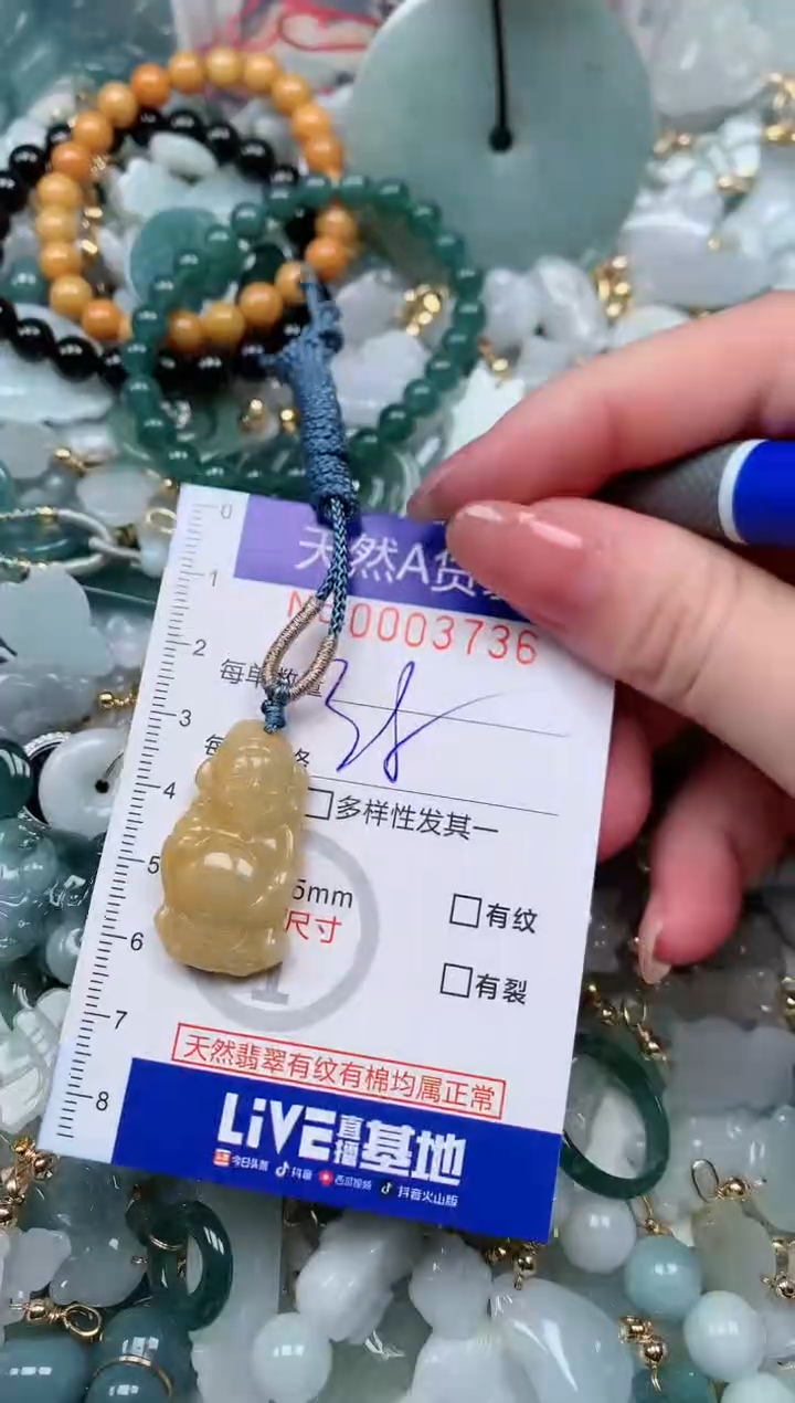 【闪购商品】翡翠颈饰未镶嵌00003736