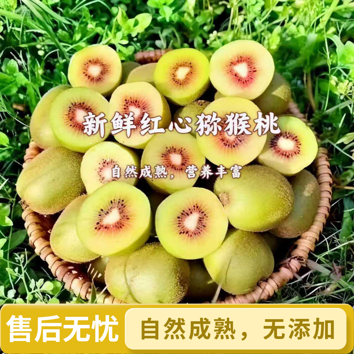 正宗贵州水城猴场红心猕猴桃鲜果新鲜当季水果孕妇适用香甜多汁