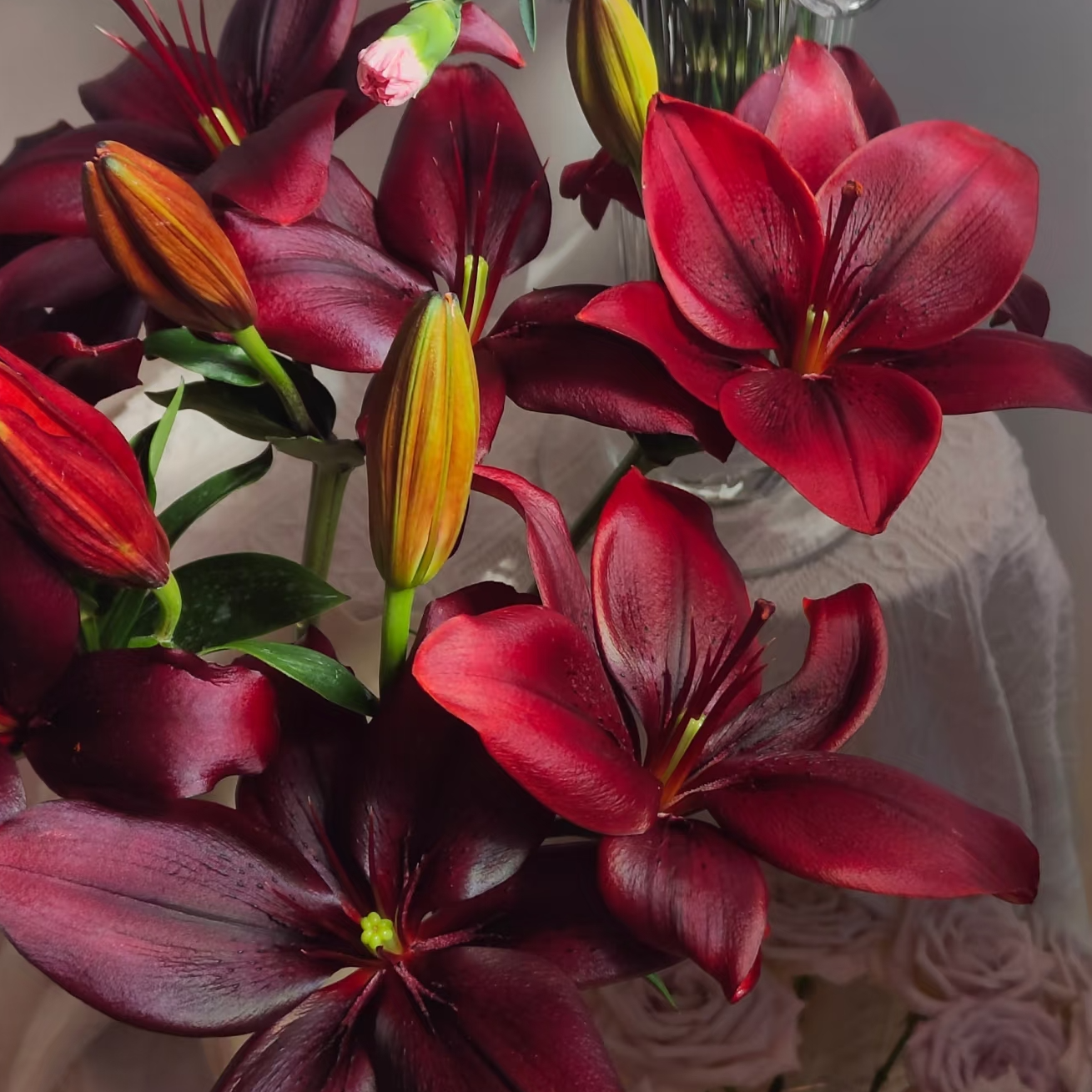 【花领域】黑宝石 亚百合 无香型  任意两单顺丰冷链