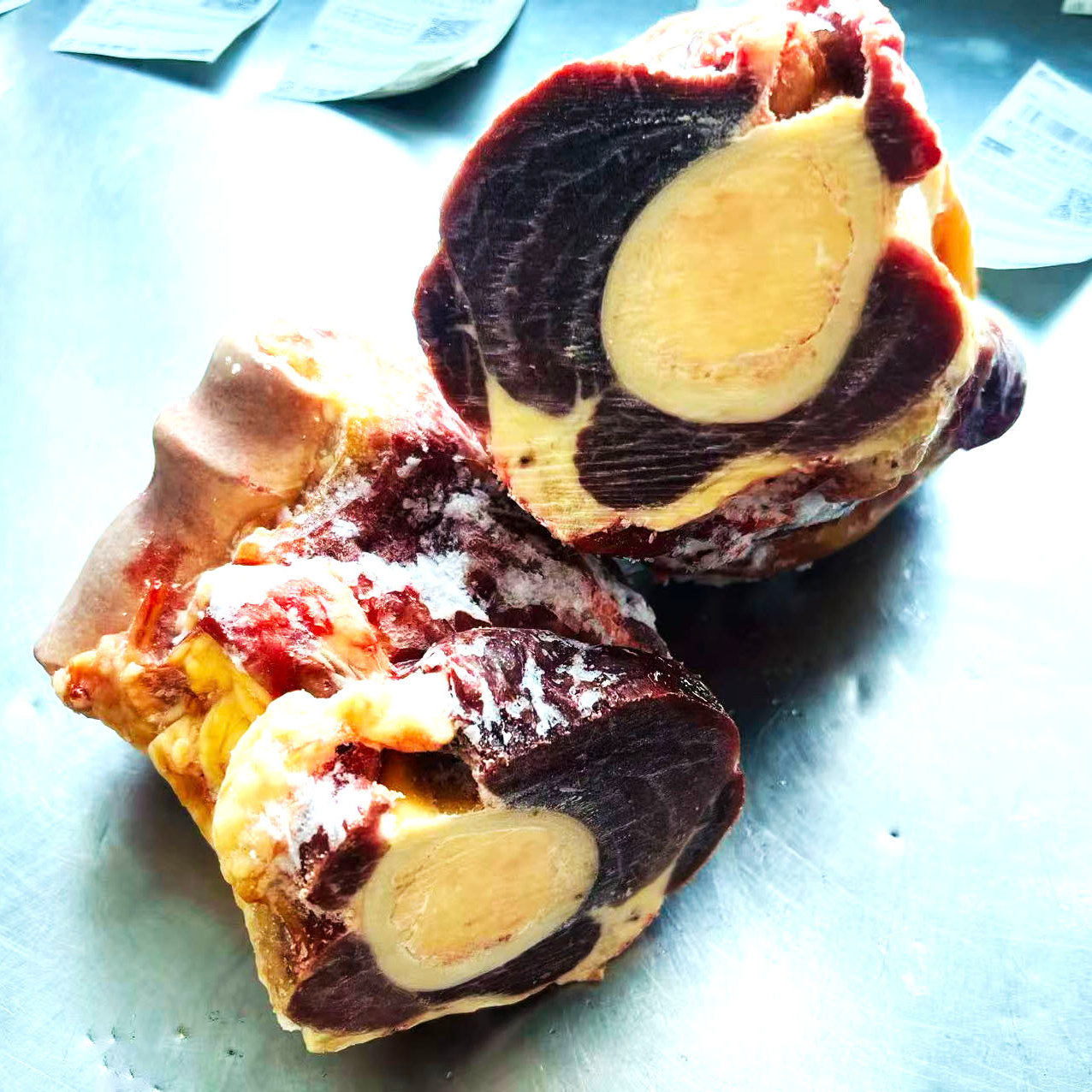 牛大骨（没大锅别拍）内蒙古草原溜达牛