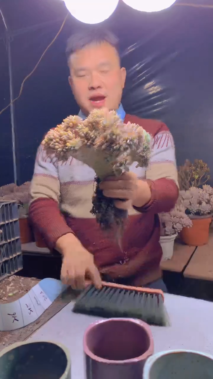 【闪购商品】缀化213