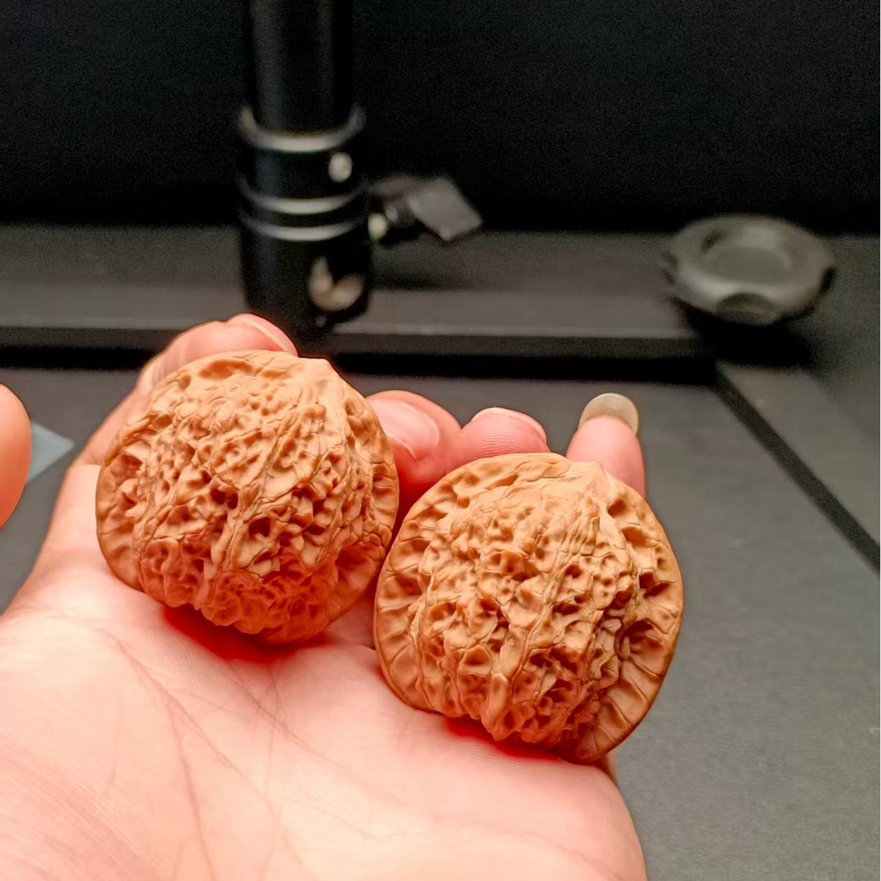 血麒麟文玩核桃一单一价以直播间为准