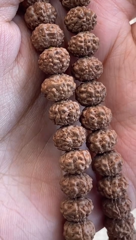 【闪购商品】金刚菩提手串702小恶魔108