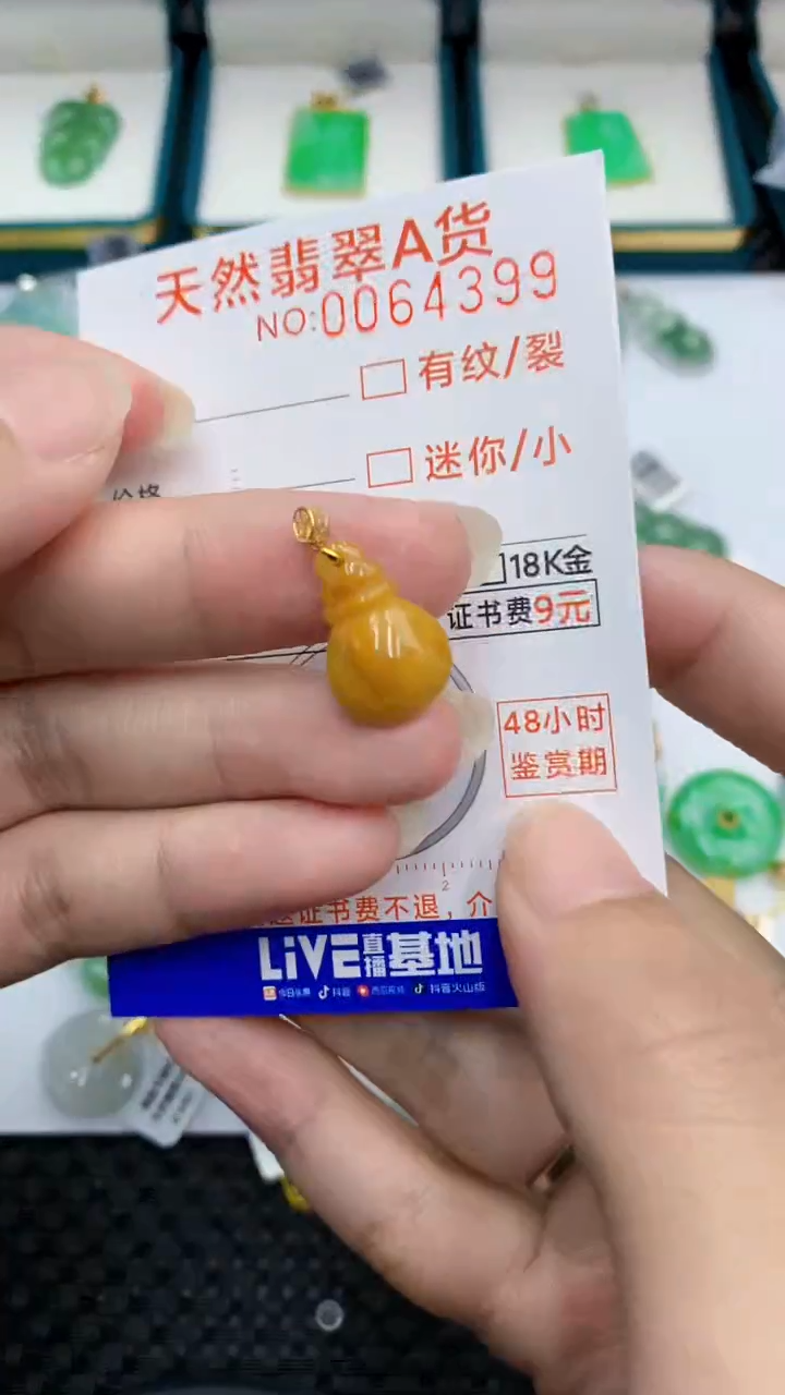 【闪购商品】翡翠颈饰18K金镶嵌            8