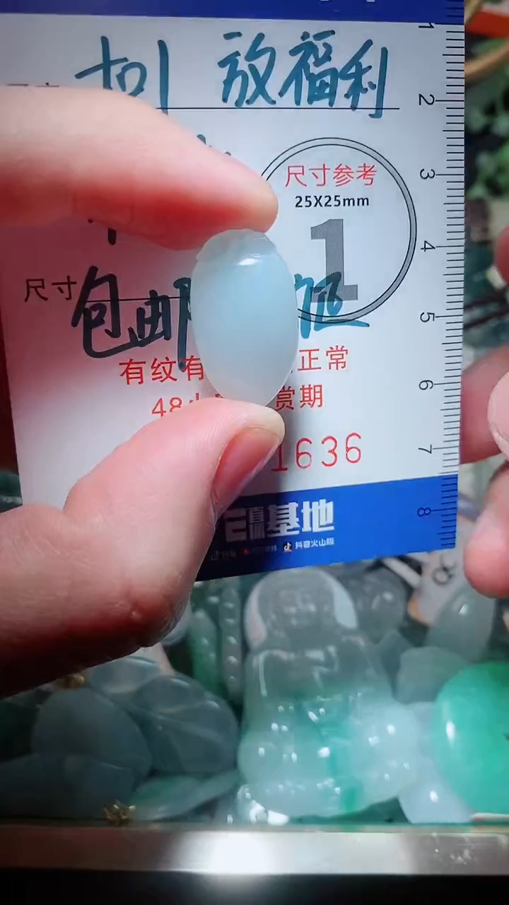 【闪购商品】翡翠颈饰未镶嵌天然A货翡翠一件