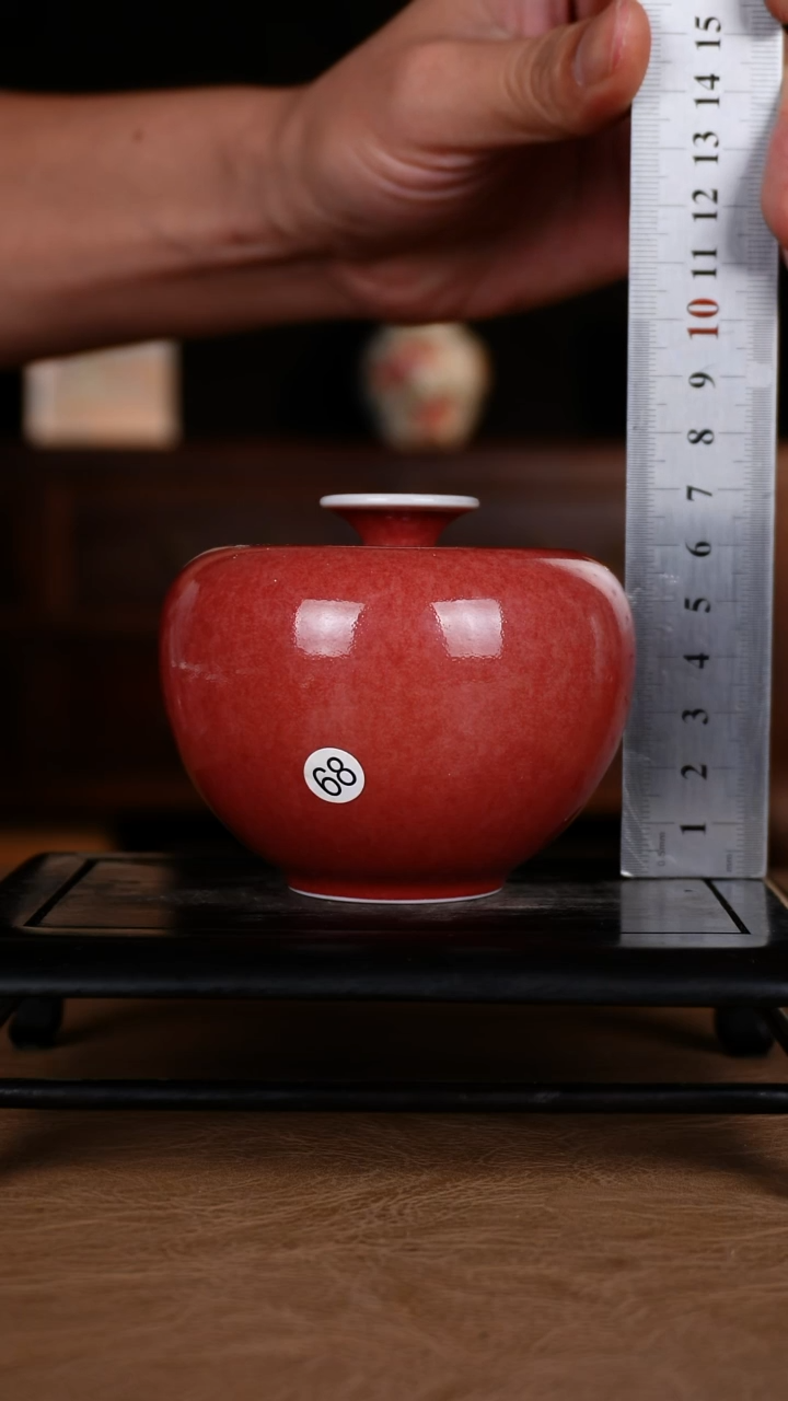 瓶豇豆红景德镇纯手工陶瓷