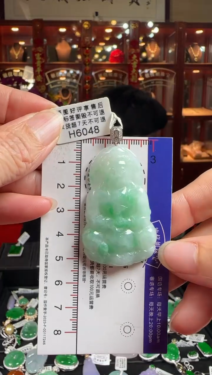 【闪购商品】翡翠颈饰18K金镶嵌H6048观音