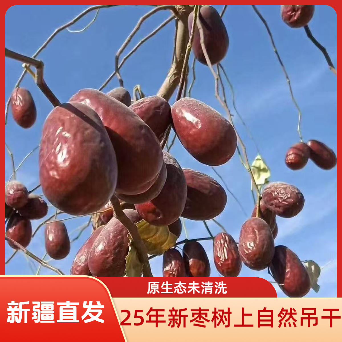 【陶老师助农专属】新疆发正宗25年和田大枣未清洗树上吊干枣原生态