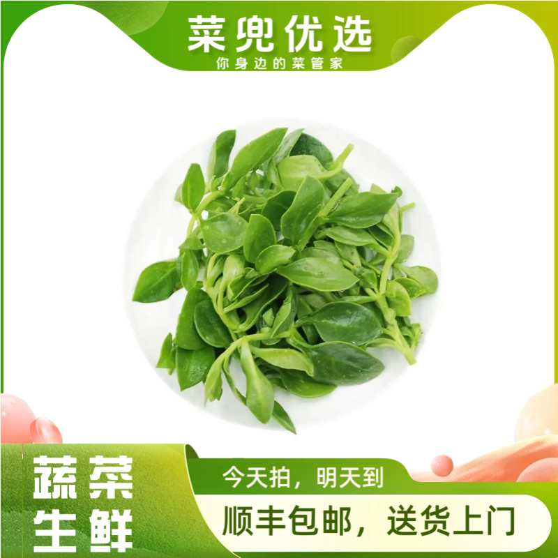 福建穿心莲 150g左右/份