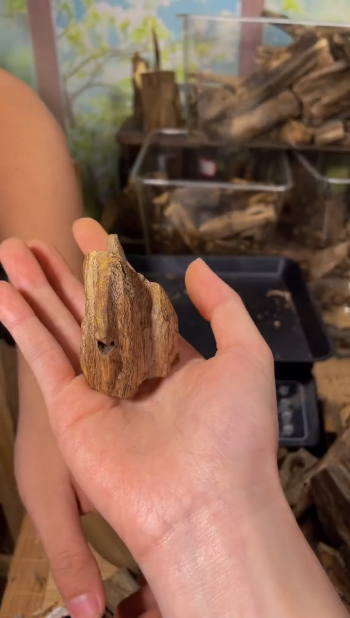 沉香碎屑沉香虫漏76