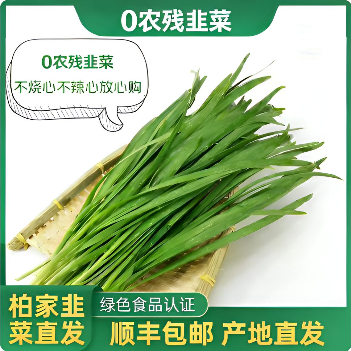 0农残现割现发头茬新鲜柏家韭菜 绿色食品认证 头茬韭菜顺丰包邮送到家 产地直发 精品韭菜品质保证韭菜