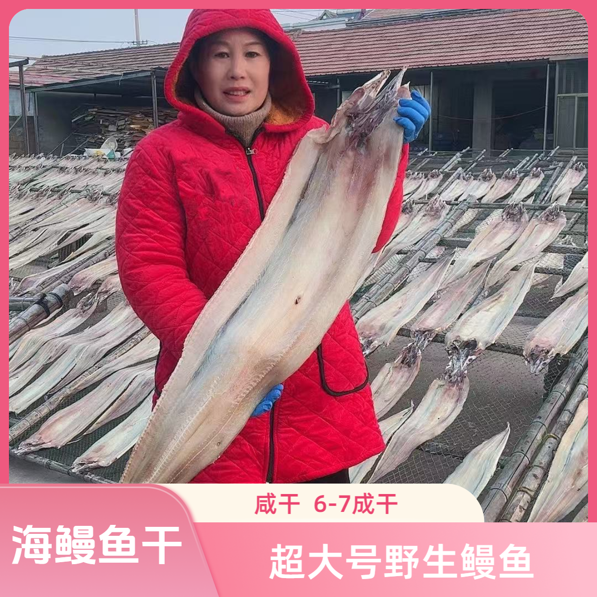 【海鳗鱼干】超大号野生海捕鳗鱼 整条  6-7成干 咸鱼商用批发