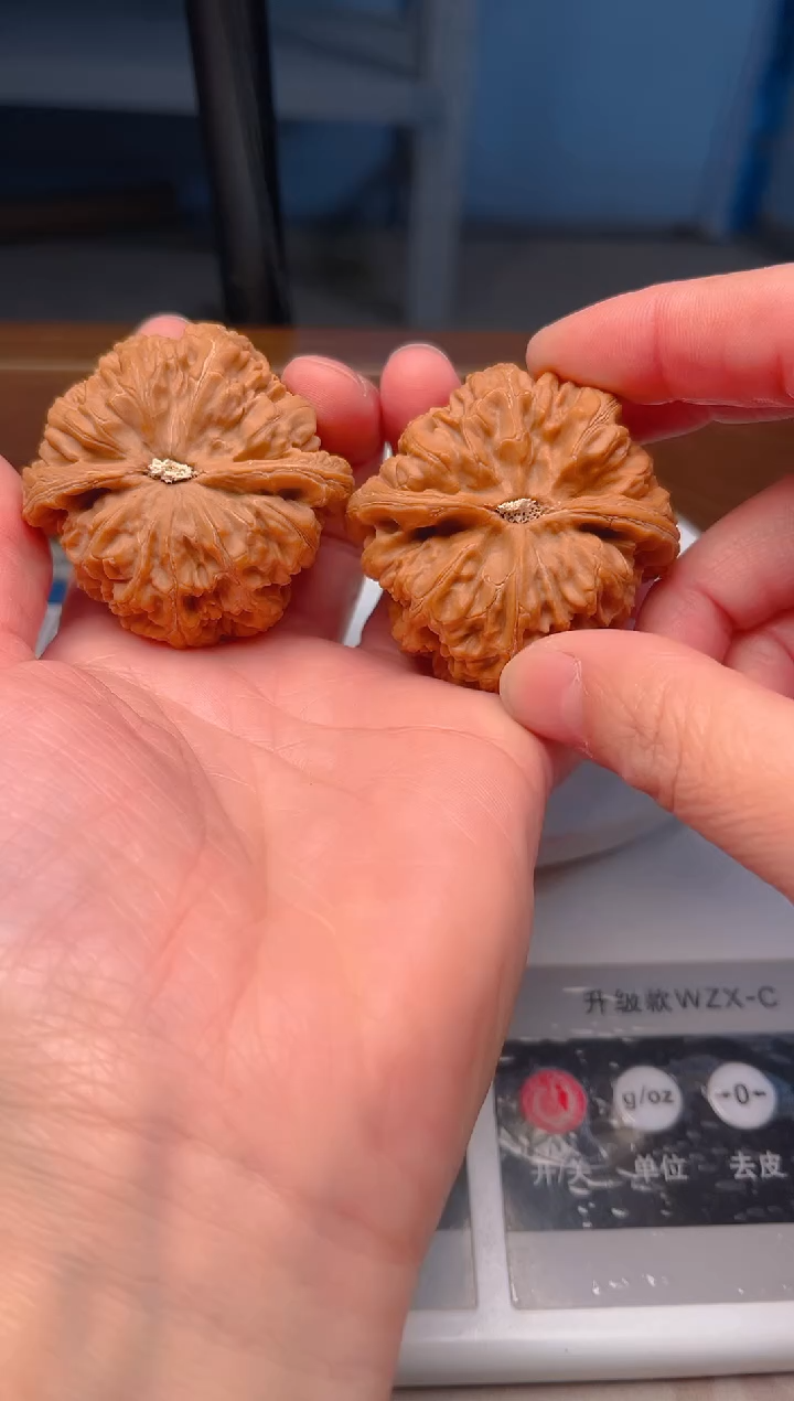 【闪购商品】文玩核桃把件49大粗筋