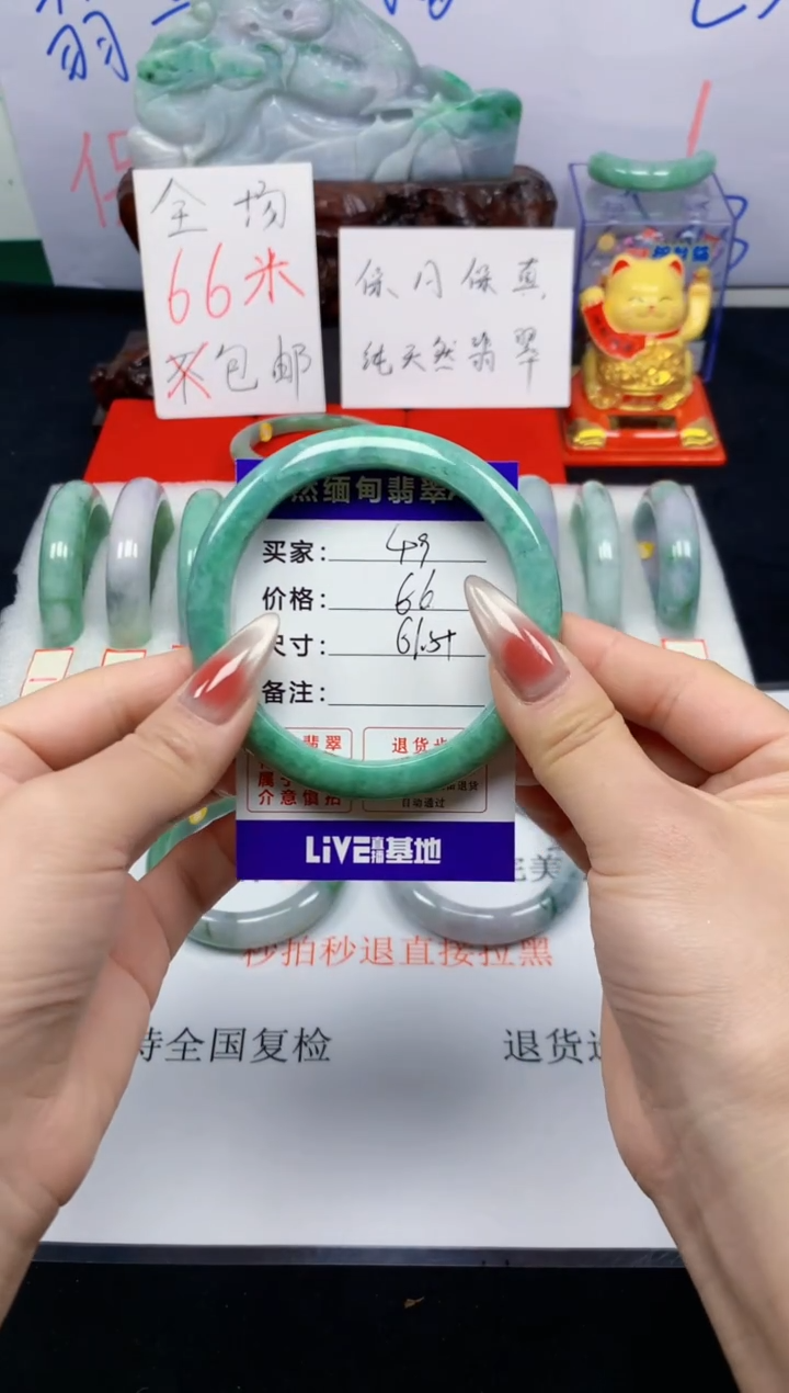 未镶嵌手镯翡翠49