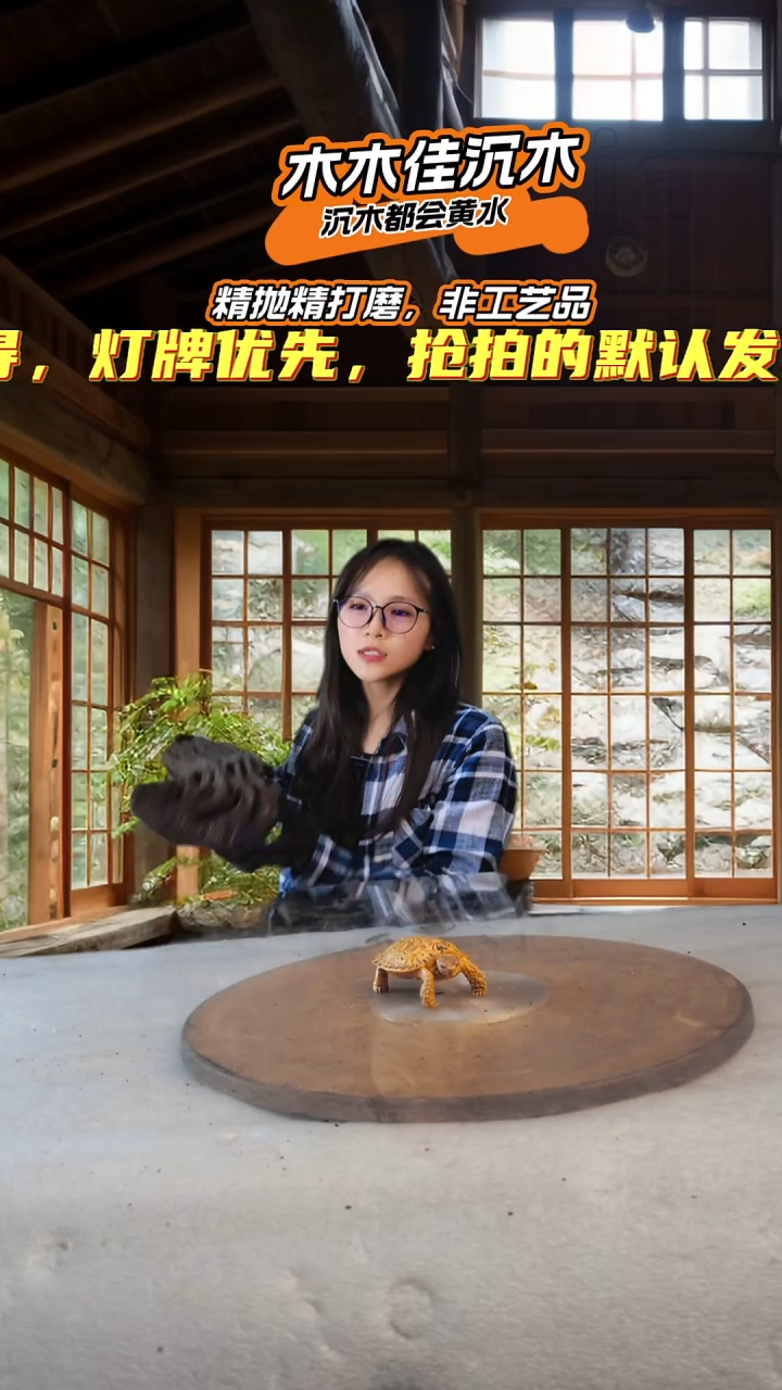 稻*香木木佳鱼缸造景沉木-755