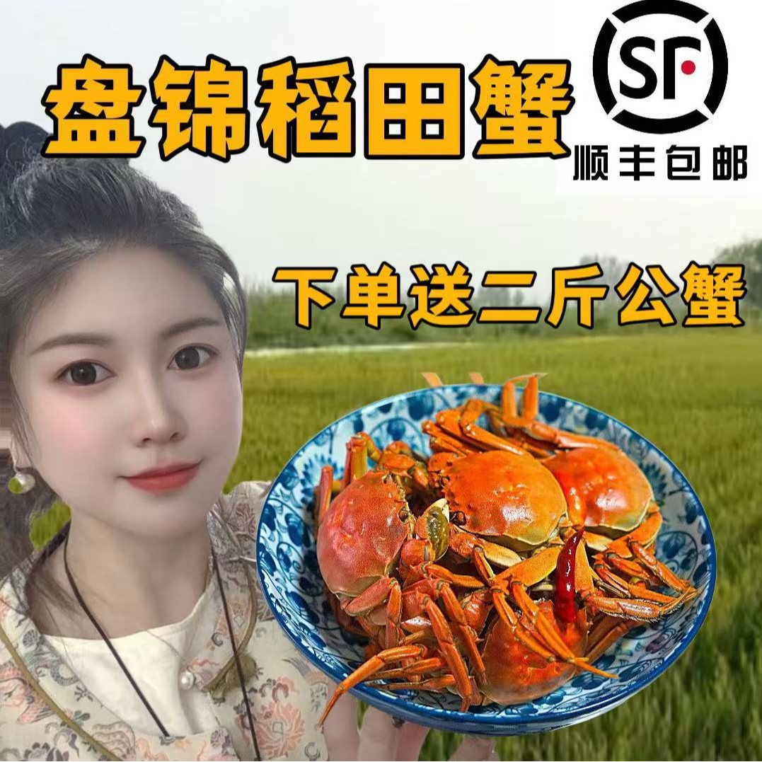 盘锦河蟹【活蟹】1.7-2.0两全母3斤（18只左右）在送2斤1-1.5两公，