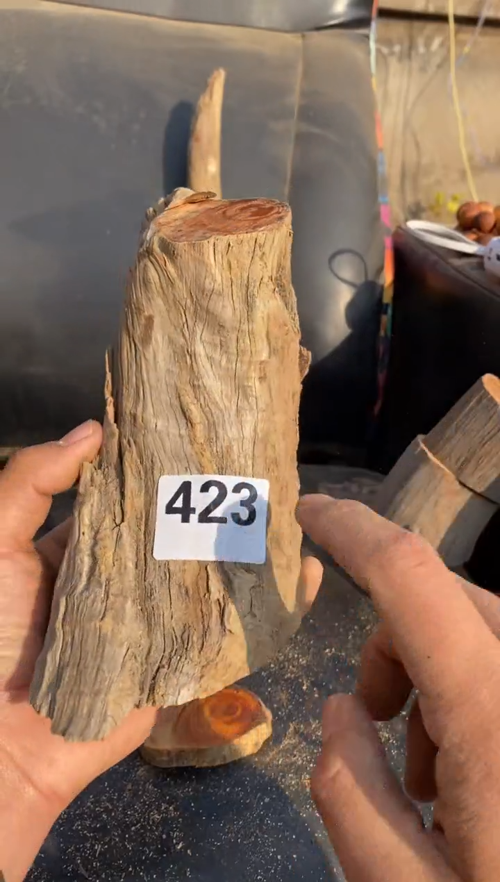 柏木（崖柏）太行陈化崖柏切片！随机（1单1片）423