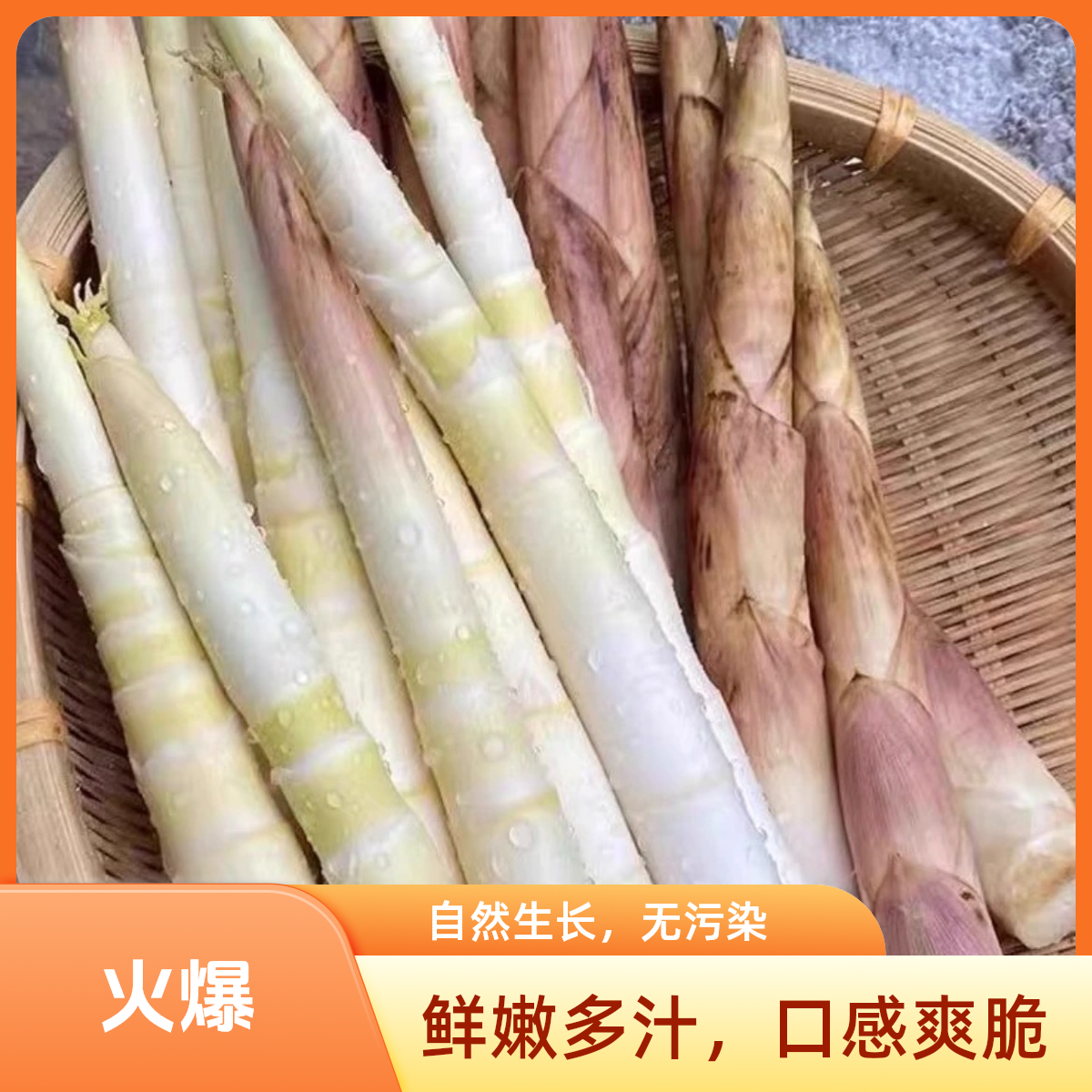 甄选新鲜春笋嫩雷笋现挖新鲜竹笋源头直发