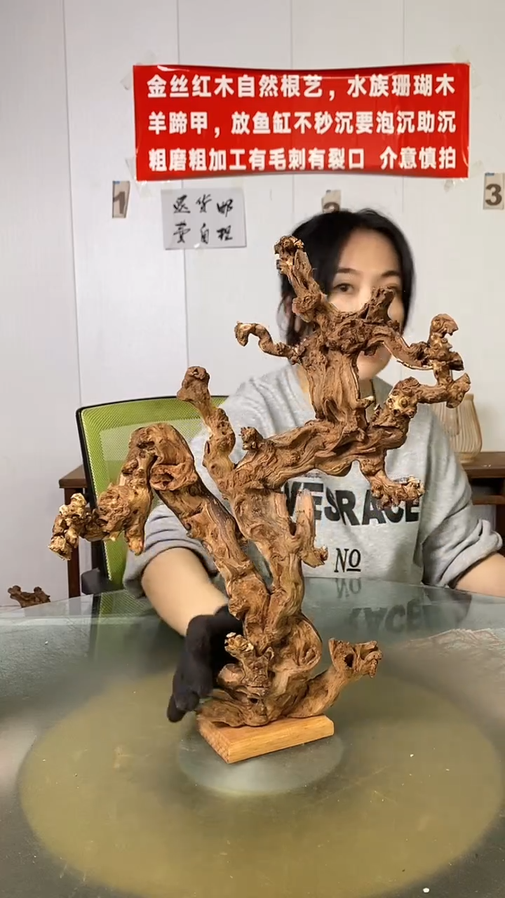 木碧**天金丝红木 羊蹄甲