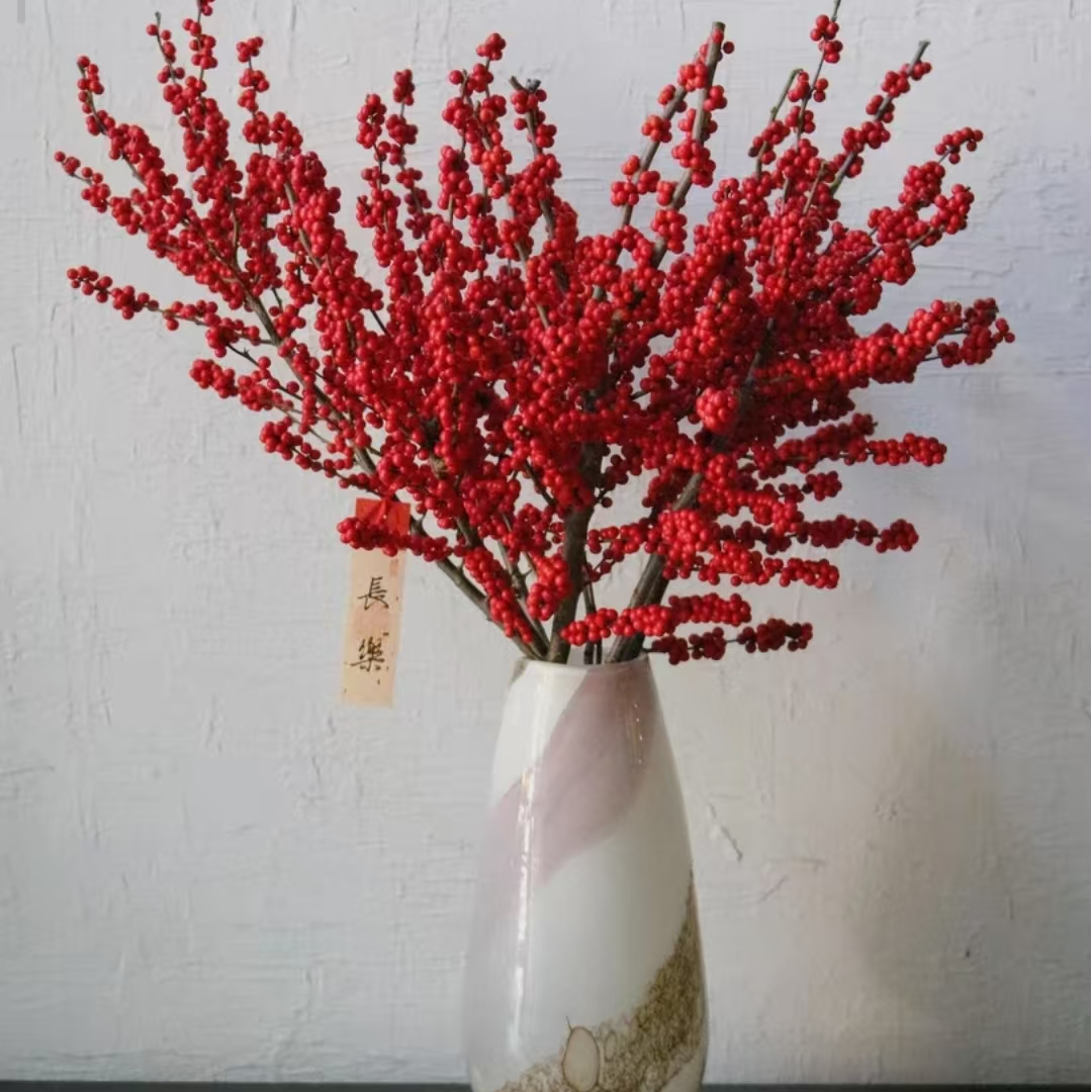 AAA级北美冬青鲜切支水培花材  花期超长  源头直发 品质保证