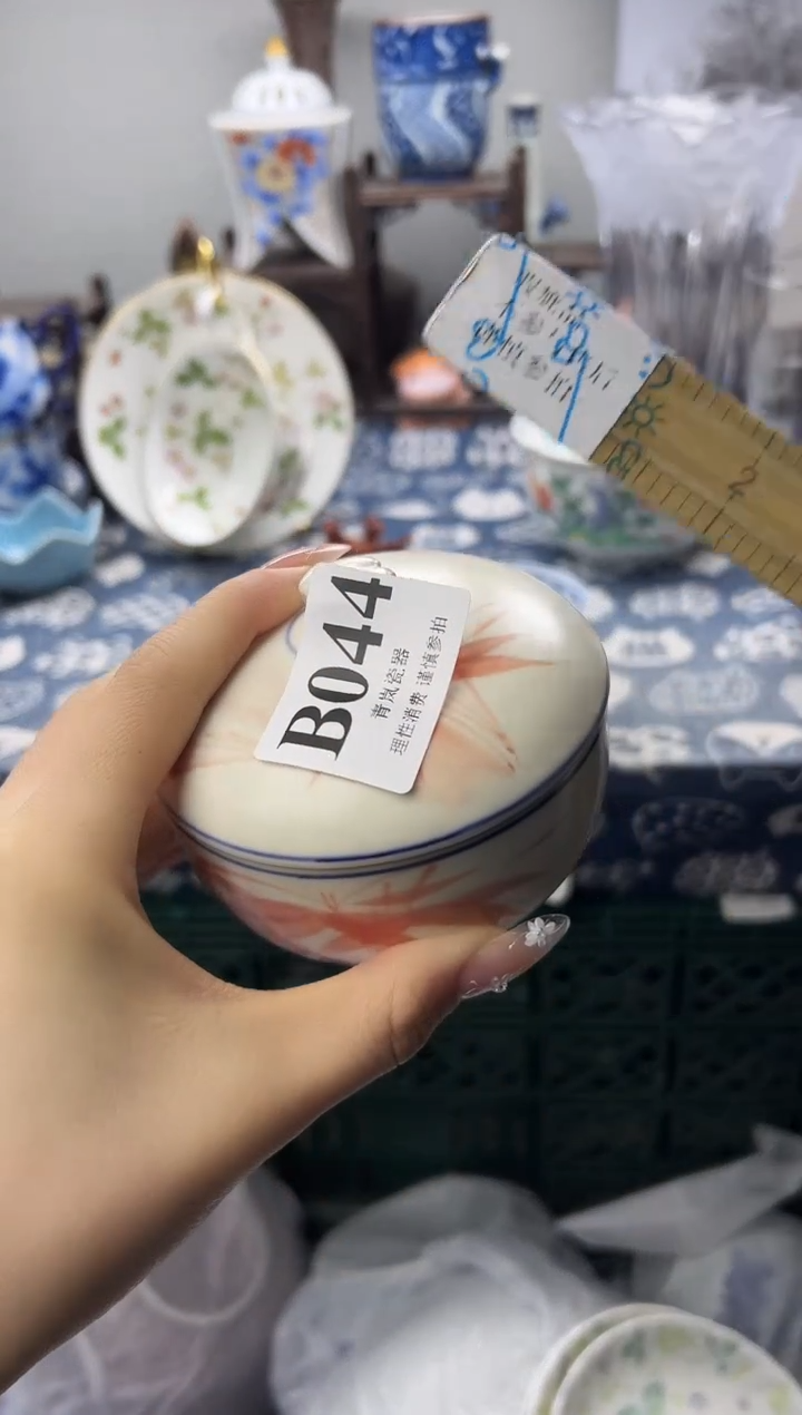 瓷片       B044
