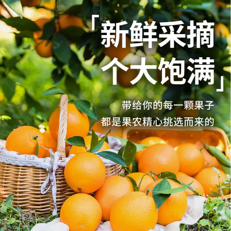 【正宗赣南脐橙】多仓直发新鲜橙子5-10斤自家果园现采现发