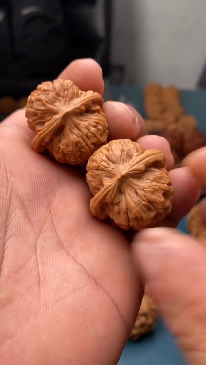 把件文玩核桃甲骨文b535