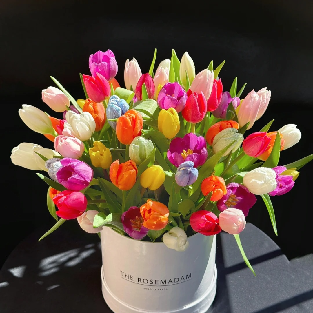 【月亮花圃】混色A1级（郁金香） 1单普通快递，2单以上顺丰冷链