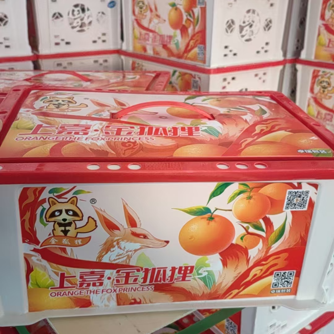 金狐狸春见耙耙柑一箱约6斤四川省