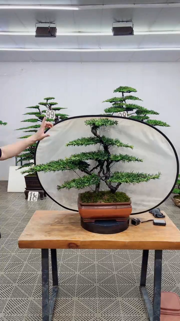 无花朵造型精品一物一拍