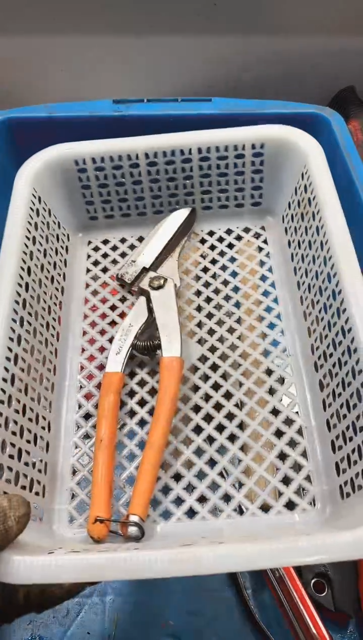 浮*麻嘎子工具闪购链接一物一拍