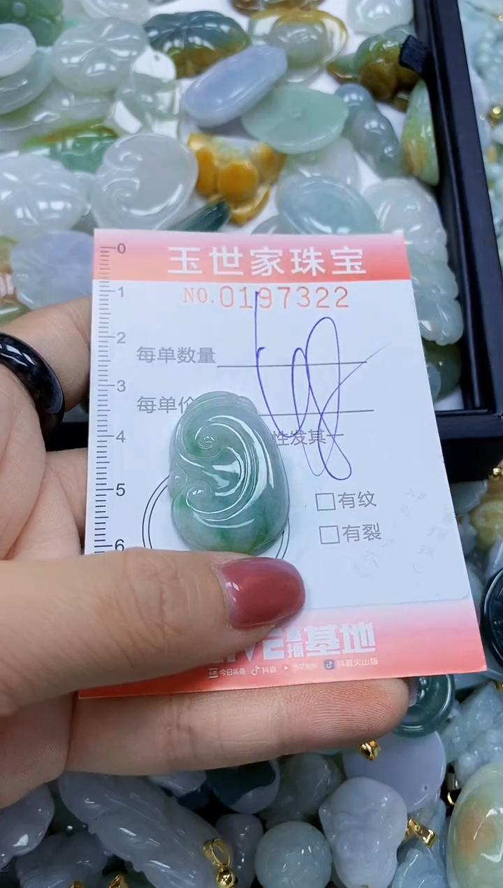 【闪购商品】翡翠颈饰未镶嵌闪购0197322