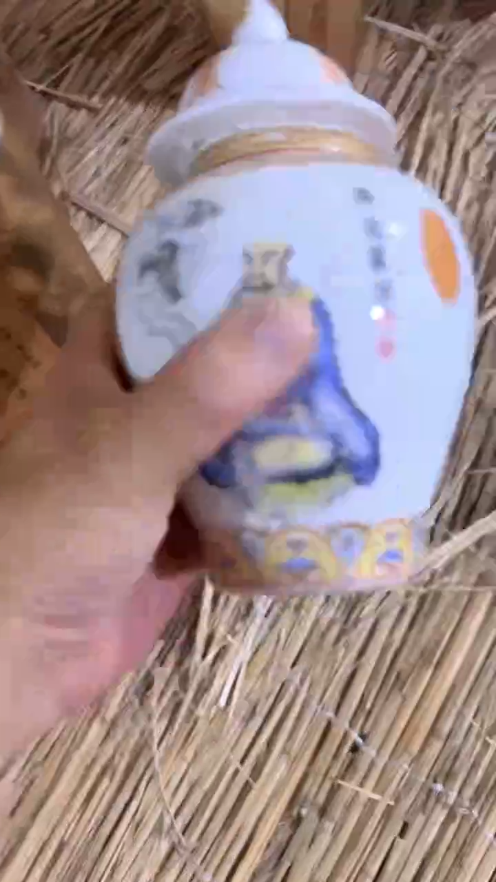 紫砂紫砂紫砂紫砂