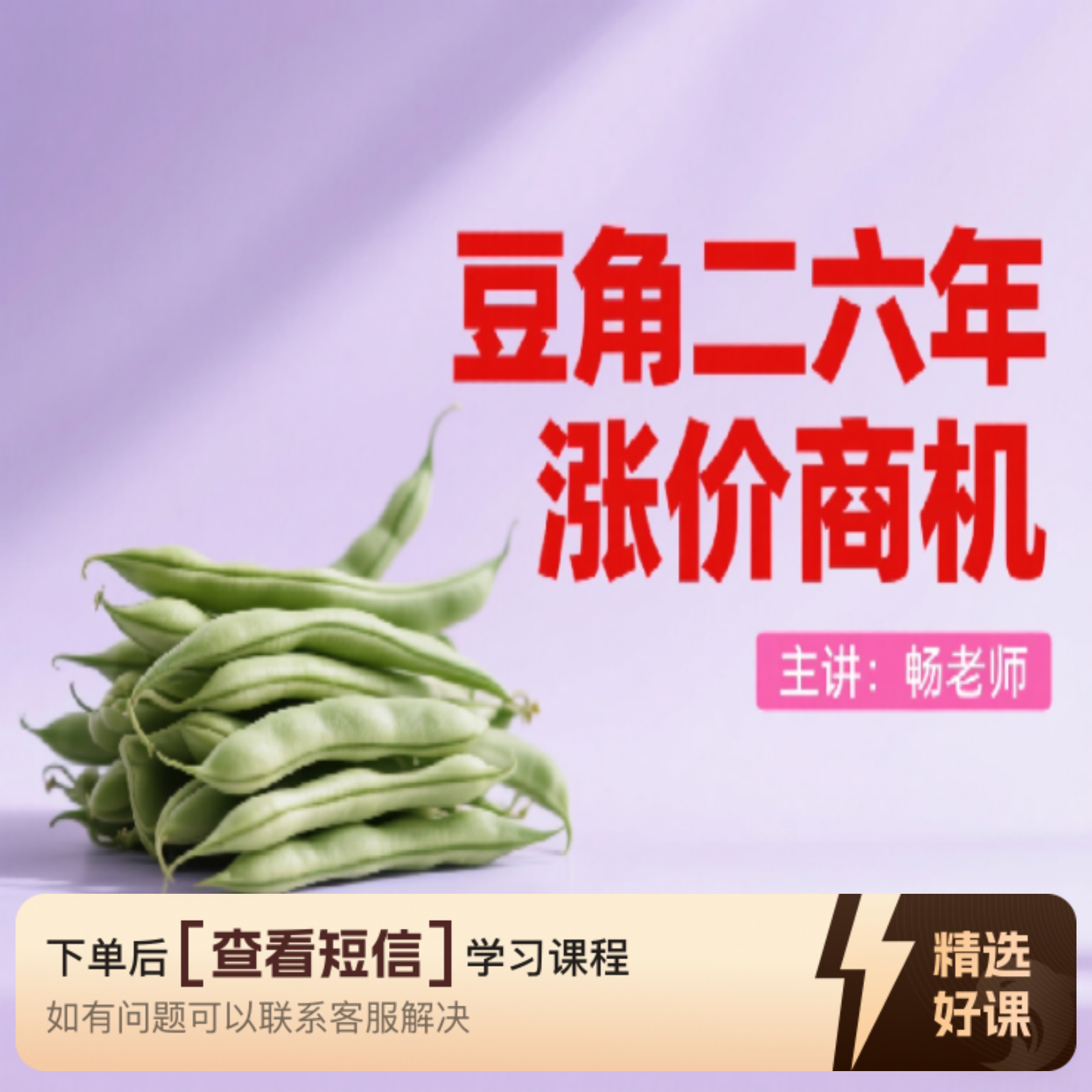 豆角二六年涨价商机（留意短信解锁课程）