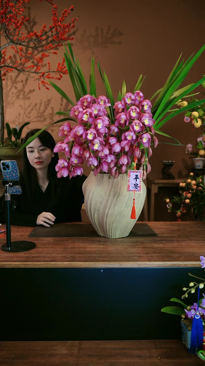 【闪购商品】盆景粉红露露