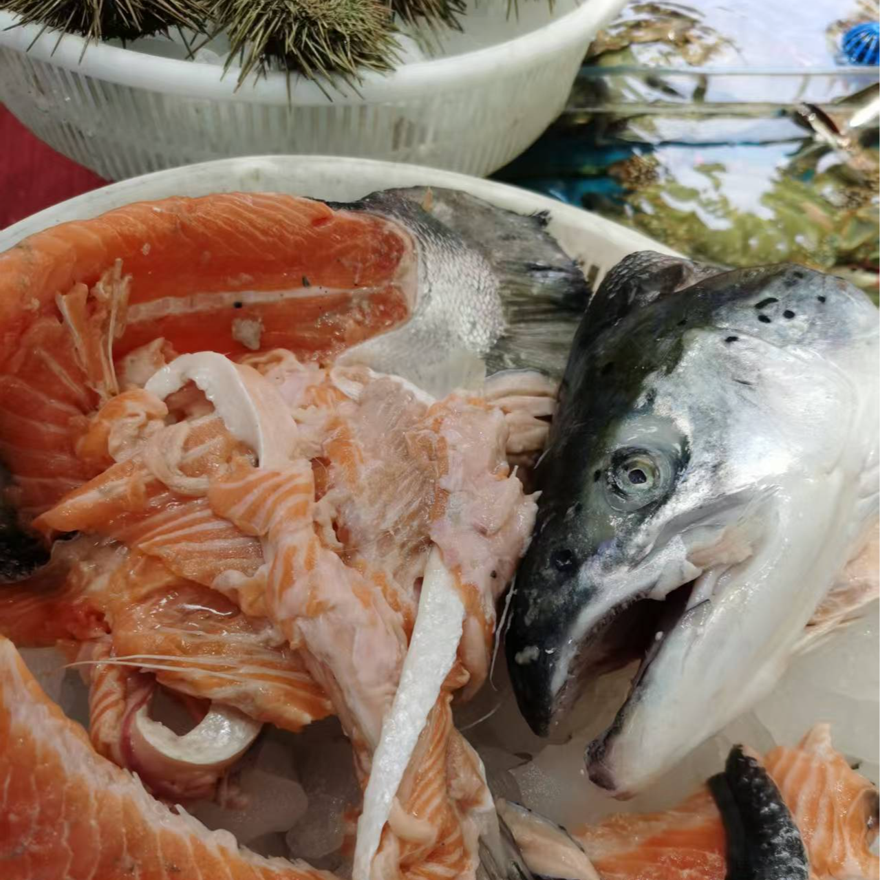 三文鱼边角料2斤起三文鱼同城