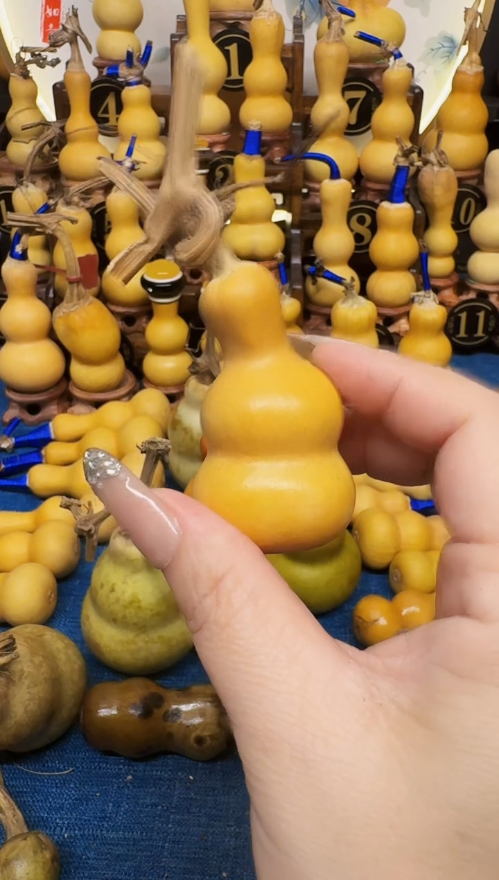 地**孩福禄高端客户客户