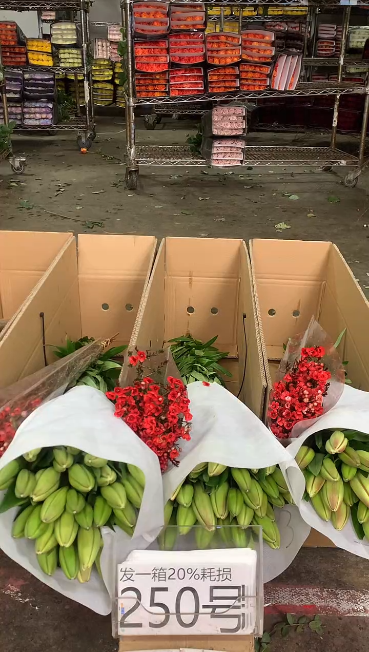 250号♥中通含20%耗损发一箱鲜花