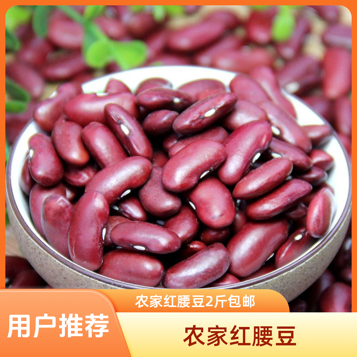 【富源农家红腰豆】2斤1000克包邮到家