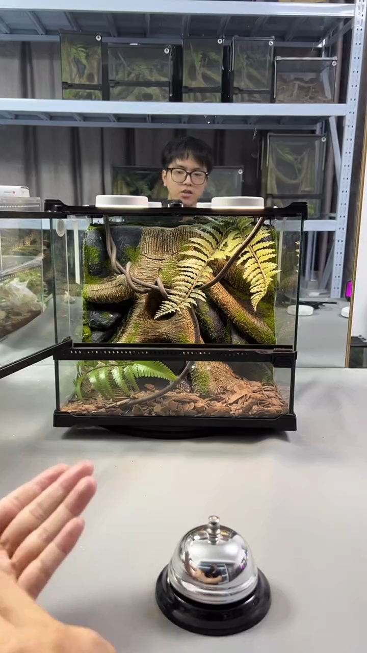 玻璃【长30宽25高27】爬宠造景缸睫角守宫树栖蜘蛛饲养箱爬宠爬虫缸