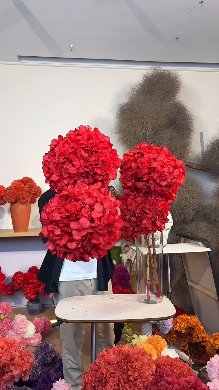  吸色永生大叶绣球2枝-红