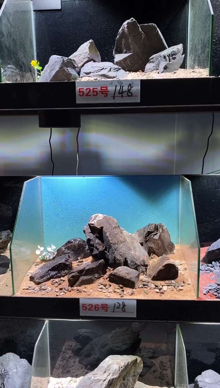 526号鱼缸造景（不含底砂）