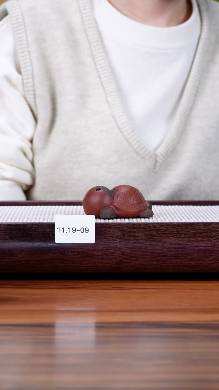 茶壶紫砂11.19-9  乌龟